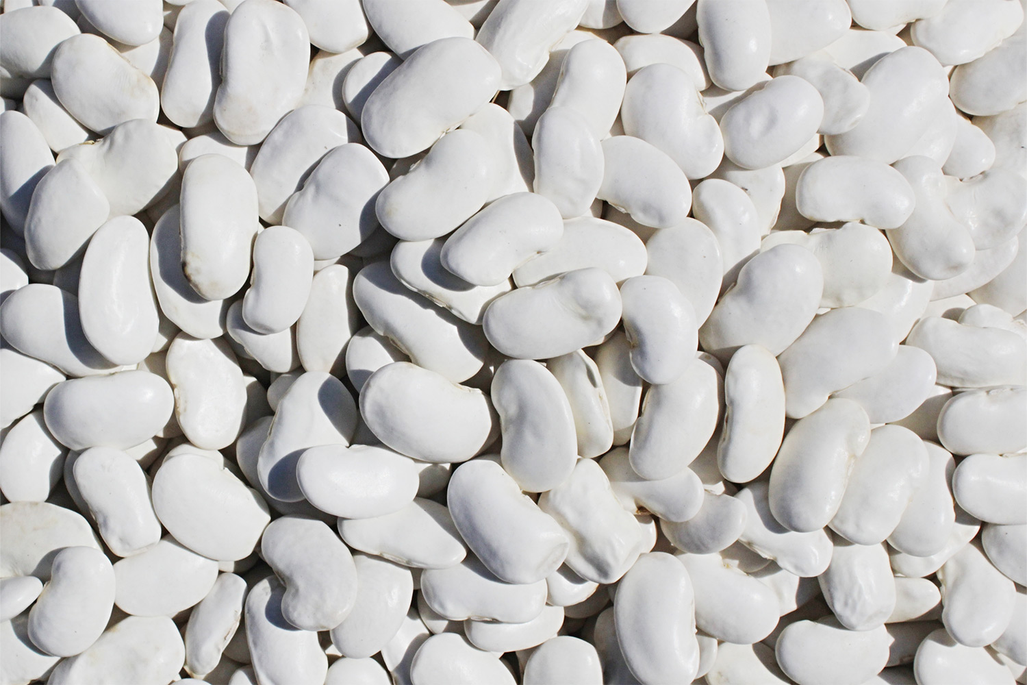 Ferulic acid benefits