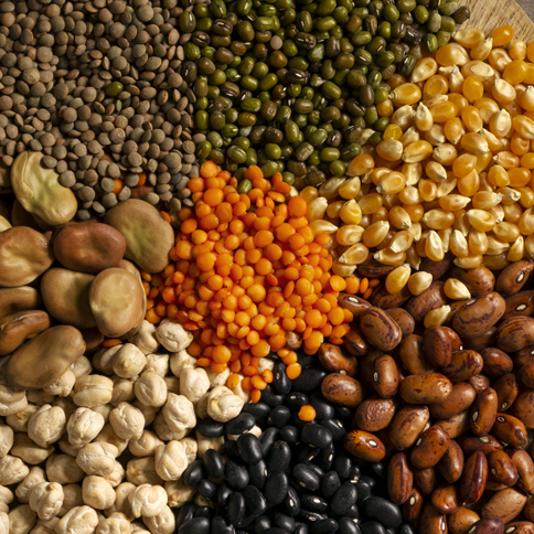 Ingredients picture